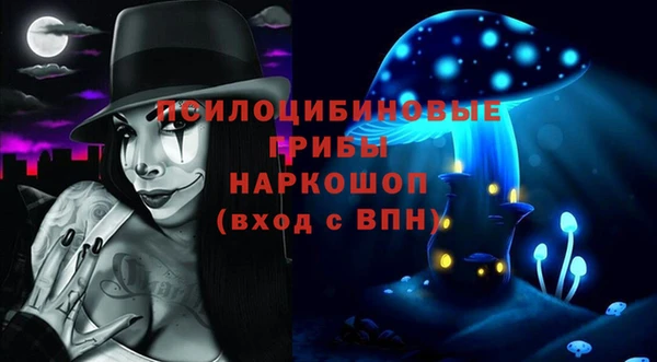 стафф Алзамай