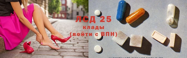 стафф Алзамай