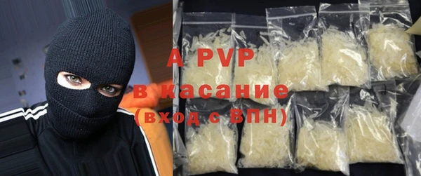 стафф Алзамай