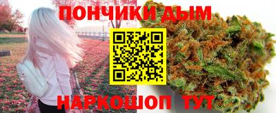spice Гатчина