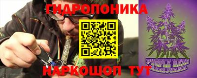 spice Гатчина