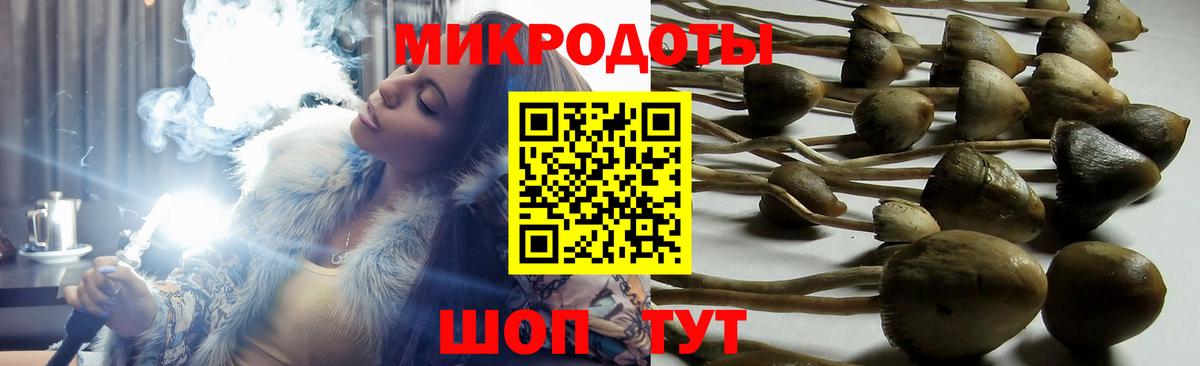 Псилоцибиновые грибы Cubensis Кропоткин