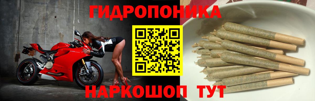 Бошки марихуана марихуана  Вход с VPN  Марихуана LSD WEED  МАРИХУАНА AK-47  Кропоткин 